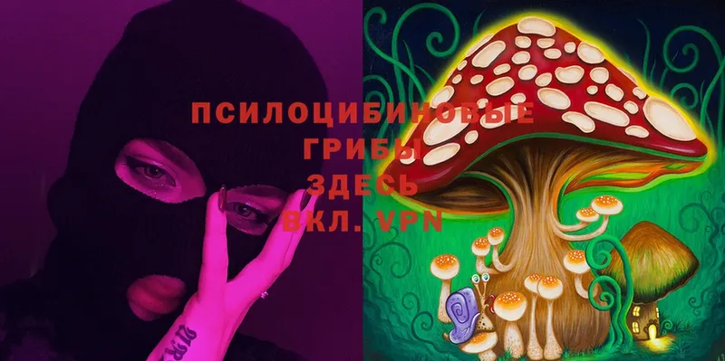 магазин продажи наркотиков  Калач-на-Дону  Псилоцибиновые грибы Psilocybe 